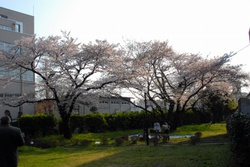 s-dsc_0006s.jpg