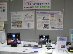 s-p1010050s.jpg