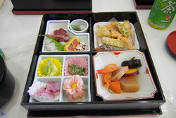 P7100066_1200pxs.jpg