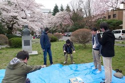 hanami045s.jpg