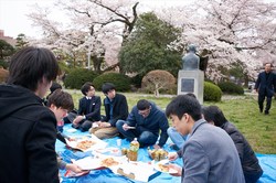 hanami052s.jpg