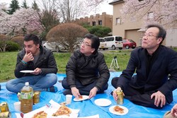 hanami060s.jpg