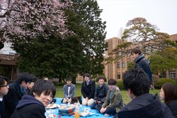 hanami070s.jpg