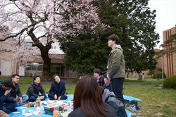 hanami075s.jpg