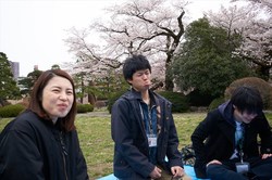 hanami078s.jpg