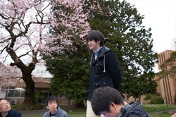 hanami080s.jpg