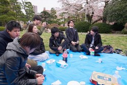 hanami110s.jpg