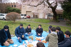 hanami131s.jpg