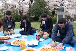 hanami134s.jpg