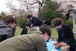 hanami135s.jpg